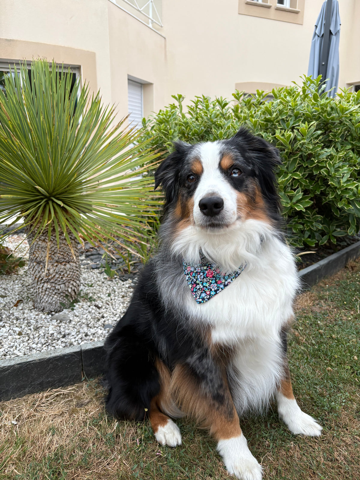 Bandana pour chien Camille