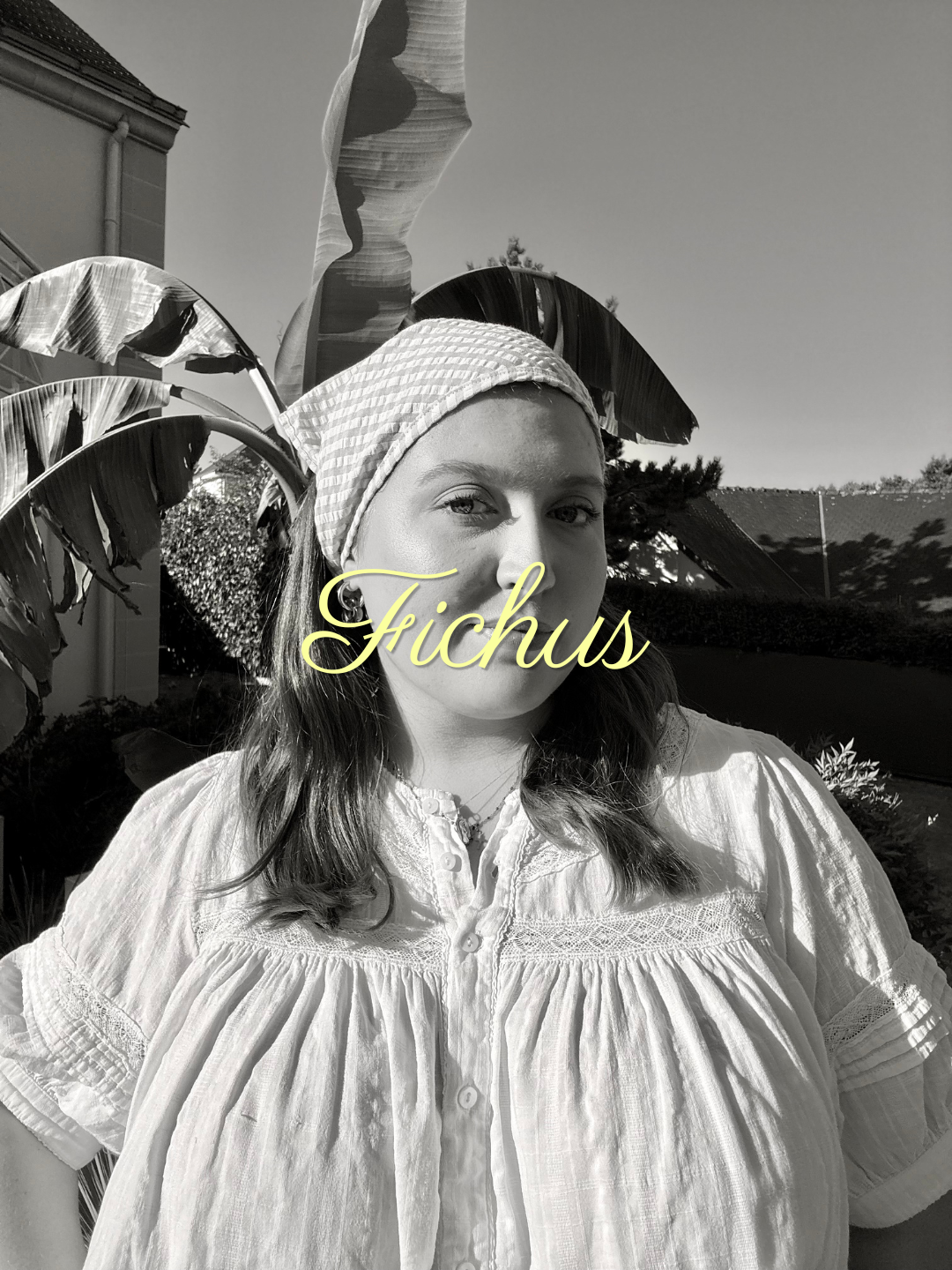 Nos fichus →