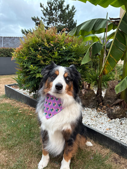 Le Pack Duo Matchy — Chien & Maîtresse Colette