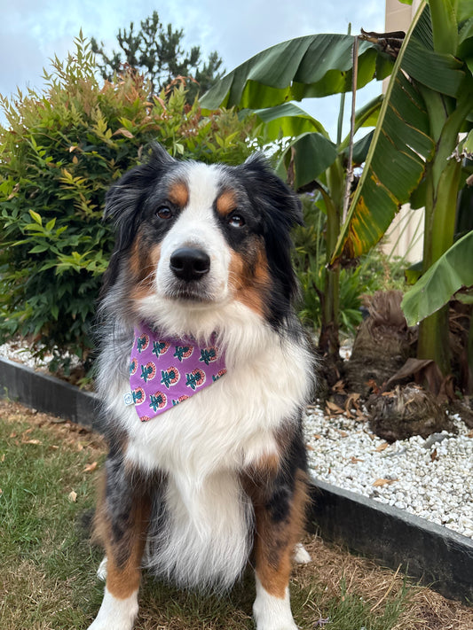 Bandana pour chien Iris