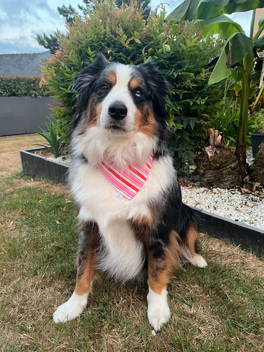 Bandana pour chien Léonie
