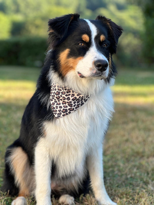 Bandana pour chien Suzanne